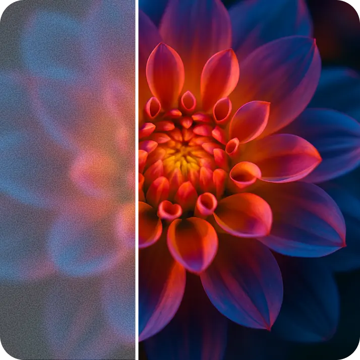 Enhanced flower with vivid details