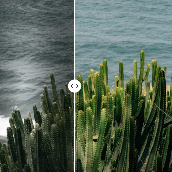Group of friends against a red wall, split between blurry and sharp