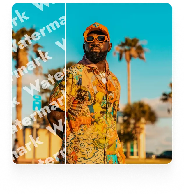 Example of watermark removed