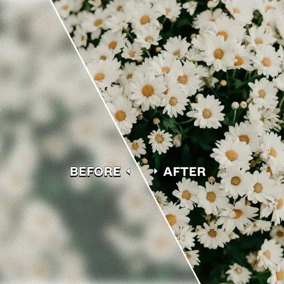 Stylized portrait and scratch removal